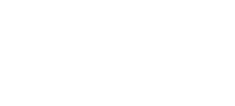 Riferimento - Daimler - BVS Industrie-Elektronik